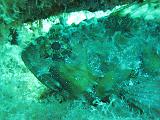 2009-09-11 15-13-30S